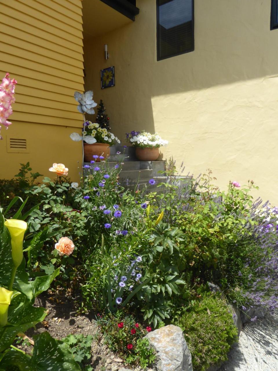 Hazelwood Mapua Bed and Breakfast Exteriör bild